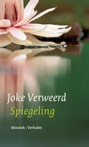 Omslag van Spiegeling