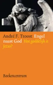 Omslag van Engel naast God
