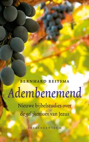Omslag van Adembenemend