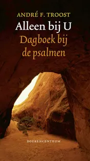 Omslag van Alleen bij U