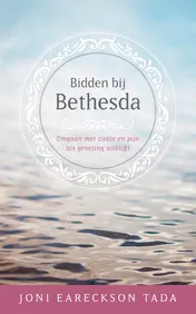 Omslag van Bidden bij Bethesda