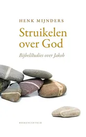 Omslag van Struikelen over God