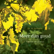 Omslag van Meer dan goud