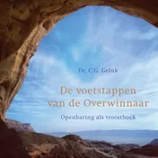 Omslag van De voetstappen van de overwinnaar