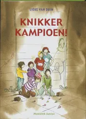 Omslag van Knikkerkampioen!