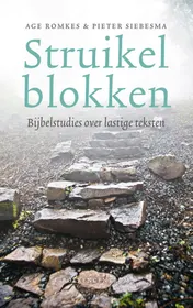 Omslag van Struikelblokken
