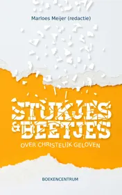 Omslag van Stukjes en beetjes