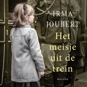 Omslag van Het meisje uit de trein