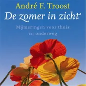 Omslag van De zomer in zicht