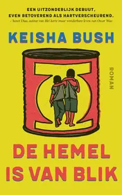 Omslag van De hemel is van blik