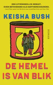 Omslag van De hemel is van blik