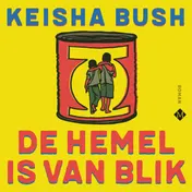 Omslag van De hemel is van blik