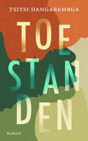 Omslag van Toestanden