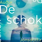 Omslag van De schok