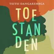 Omslag van Toestanden