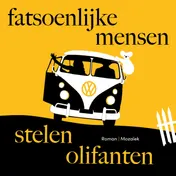 Omslag van Fatsoenlijke mensen stelen olifanten