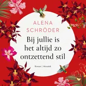 Omslag van Bij jullie is het altijd zo ontzettend stil