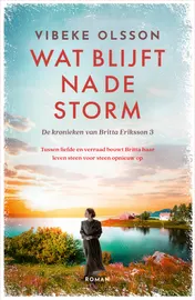 Omslag van Wat blijft na de storm