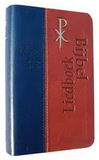 Omslag van Bijbelliedboek