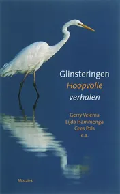 Omslag van Glinsteringen