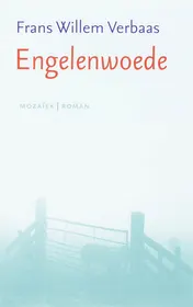 Omslag van Engelenwoede