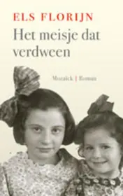Omslag van Het meisje dat verdween