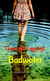 Omslag van Badwater