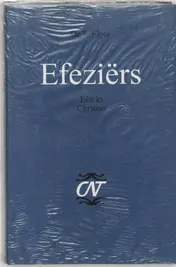 Omslag van Efeziers