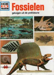 Omslag van Fossielen