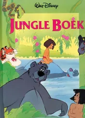 Omslag van Wondere wereld van Disney het jungle boek
