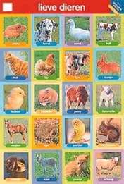 Omslag van Educatieve posters - Lieve dieren