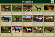 Omslag van Educatieve posters: Paarden