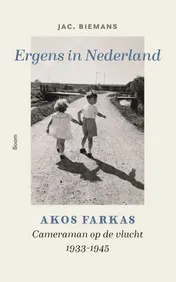 Omslag van Ergens in Nederland