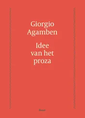 Omslag van Idee van het proza