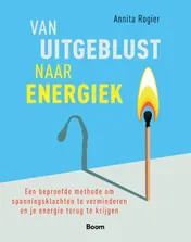 Omslag van Van uitgeblust naar energiek