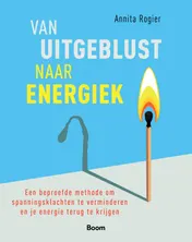 Omslag van Van uitgeblust naar energiek