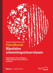 Omslag van Handboek bipolaire stemmingsstoornissen
