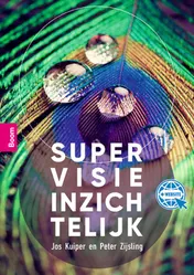 Omslag van Supervisie inzichtelijk