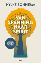 Omslag van Van spanning naar spirit