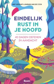 Omslag van Eindelijk rust in je hoofd