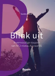 Omslag van Blink uit