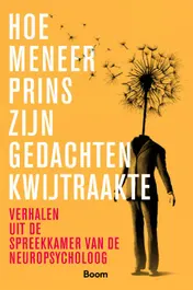 Omslag van Hoe meneer Prins zijn gedachten kwijtraakte