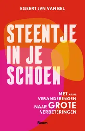 Omslag van Steentje in je schoen