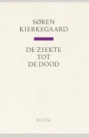 Omslag van De ziekte tot de dood