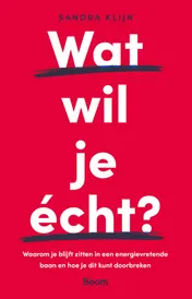 Omslag van Wat wil je écht?