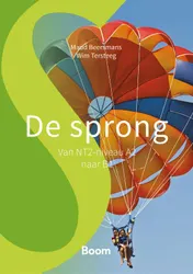 Omslag van De sprong