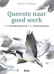 Omslag van Queeste naar goed werk