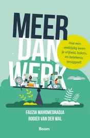 Omslag van Meer dan werk