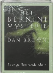 Omslag van Het Bernini mysterie