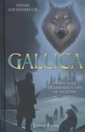 Omslag van De kinderen van de weduwe